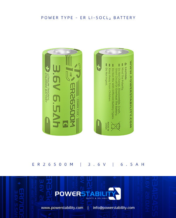 PSY-POWER TYPE - ER26500M-3.6V-6.5Ah